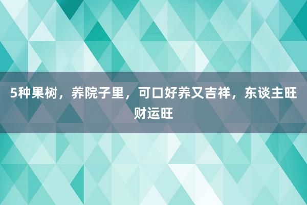 5种果树，养院子里，可口好养又吉祥，东谈主旺财运旺