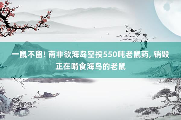 一鼠不留! 南非欲海岛空投550吨老鼠药, 销毁正在啃食海鸟的老鼠