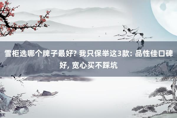 雪柜选哪个牌子最好? 我只保举这3款: 品性佳口碑好, 宽心买不踩坑