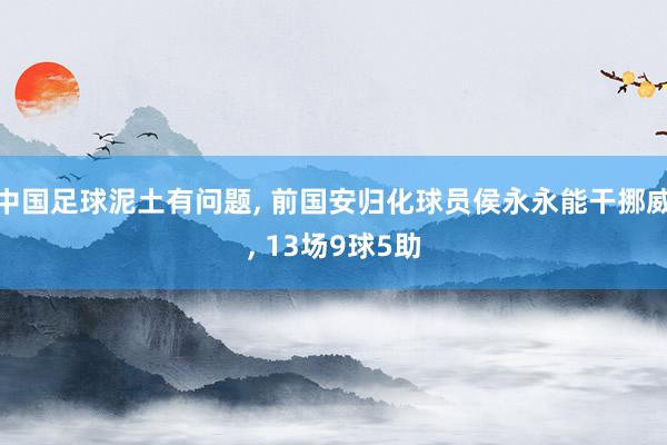 中国足球泥土有问题, 前国安归化球员侯永永能干挪威, 13场9球5助