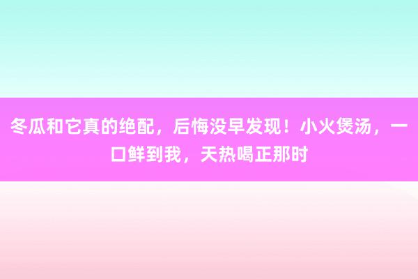 冬瓜和它真的绝配，后悔没早发现！小火煲汤，一口鲜到我，天热喝正那时