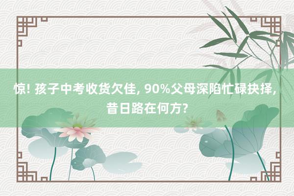 惊! 孩子中考收货欠佳, 90%父母深陷忙碌抉择, 昔日路在何方?