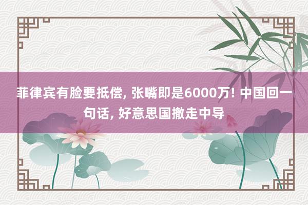 菲律宾有脸要抵偿, 张嘴即是6000万! 中国回一句话, 好意思国撤走中导