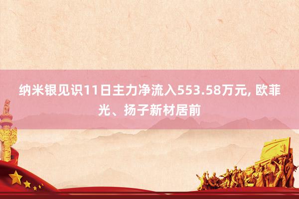 纳米银见识11日主力净流入553.58万元, 欧菲光、扬子新材居前