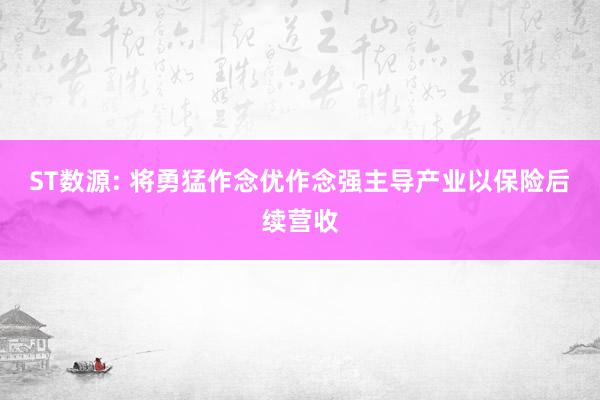 ST数源: 将勇猛作念优作念强主导产业以保险后续营收