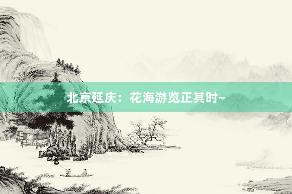 北京延庆：花海游览正其时~