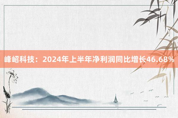 峰岹科技：2024年上半年净利润同比增长46.68%