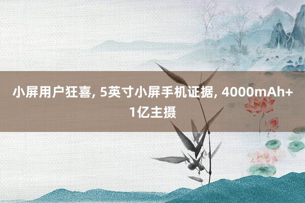 小屏用户狂喜, 5英寸小屏手机证据, 4000mAh+1亿主摄