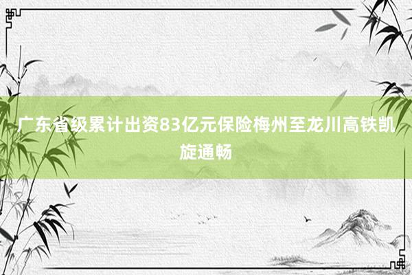 广东省级累计出资83亿元保险梅州至龙川高铁凯旋通畅