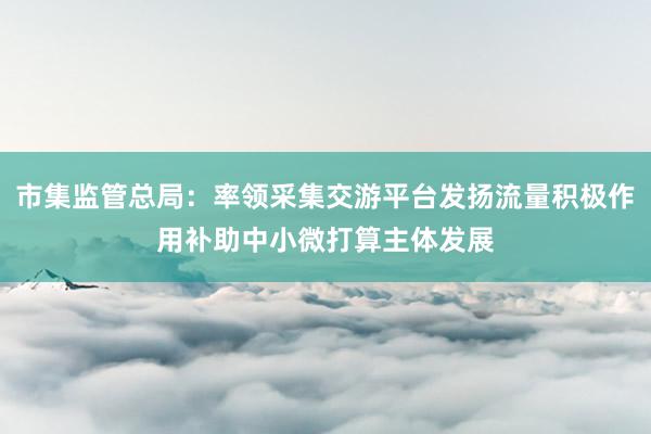 市集监管总局：率领采集交游平台发扬流量积极作用补助中小微打算主体发展